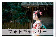 フォトギャラリー