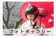 フォトギャラリー